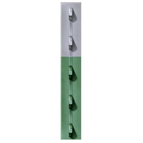 Book Publishing Co FRPT13300056G2N 1.33 in. x 5 ft. 6 in. Green Studded T-Post; Pack Of 5 GR1636076